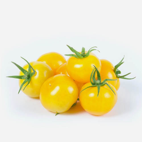 Hạt giống cà chua bi lùn vàng giá tốt giao hàng toàn quốc